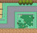Ruta 8 (Kanto)