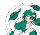 Leaf Shield