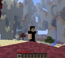 Far Lands