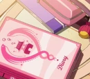 Diary
