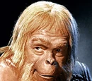 Zaius (APJ)