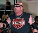 Bull Pain