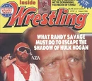 Sting/Magazine covers
