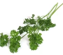 Parsley