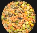 Scottish Harvest Festival Soup