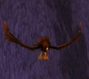 Hyjal Roc
