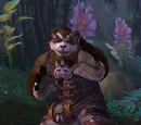 Master Bruised Paw