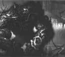 Bog beast