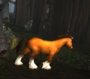 Mountain Horse