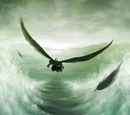 Sky Master