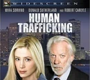 Tráfico humano