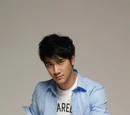 Lee Hom Wang