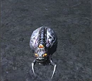 Octababy