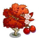 Autumn Cherry Tree-icon.png