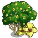 Milo Tree-icon.png
