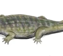Wetlugasaurus