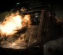 Halo: Custodia