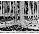 Mirkwood