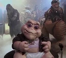 I'm the Baby (Gotta Love Me)