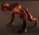 Hunter