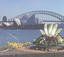 Australian Cuisine