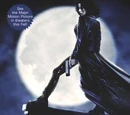 Underworld (novel)