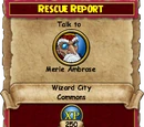 Rescue Report