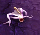 Parasitic Fleshling