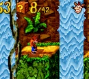 Jungle Jam