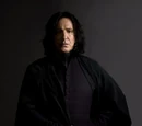 Severus Rogue
