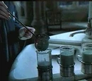 Polyjuice Potion