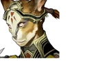 Leucetius
