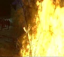 Fires