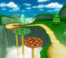 Trampoline Mushroom