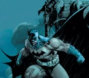 Bruce Wayne (New Earth)/Gallery