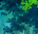 Nurse Joy's Oddish