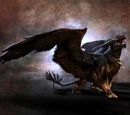 Griffon