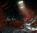 Infected Lair