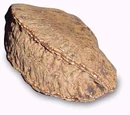 Brazil nut