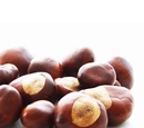 Chestnut