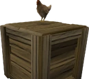 Rooster (NPC)