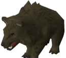 Grizzly bear