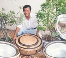 Nguyen Tan Bich
