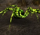Darkmist Spider