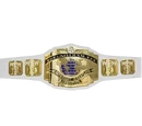 WEW Universal Championship