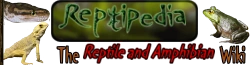 Reptile Wiki