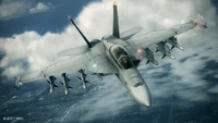 F/A-18F Super Hornet