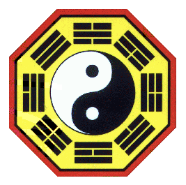 Dual Topologie