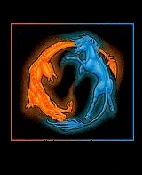 YIN YANG