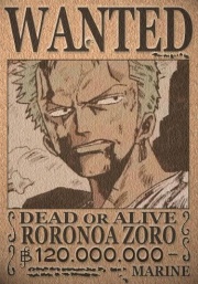 http://images3.wikia.nocookie.net/anime/de/images/f/f8/Steckbrief_Zorro_120.jpg